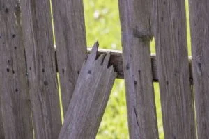 Common Fence Problems
