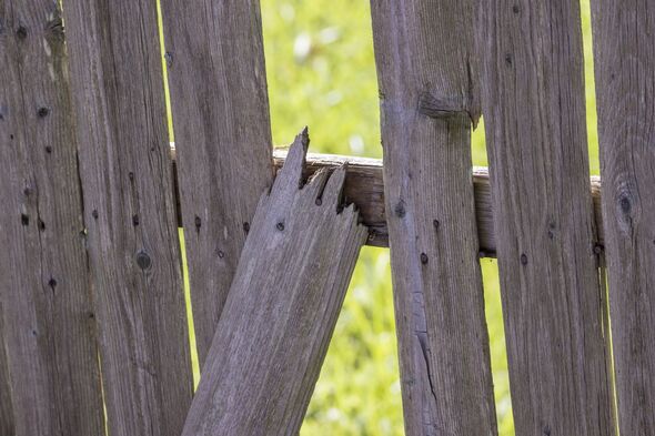 Common Fence Problems